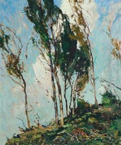 Trees And Clouds