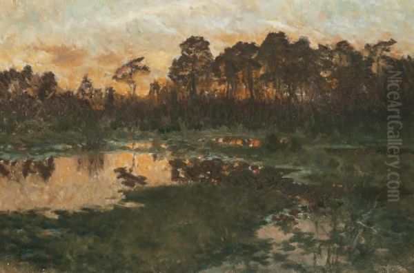 Varkvall - view 1