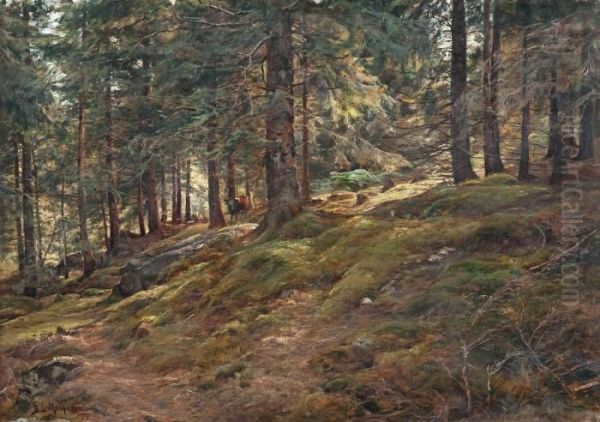 Sunlight In The Woods - view 1