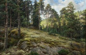 Kalliorinne Mantymetsassa