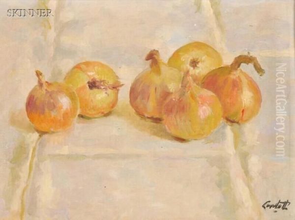 Onions - view 1