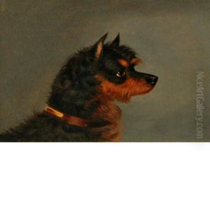 Norwich Terrier