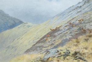 Deer Stalking In The Highlands by George Edward Lodge