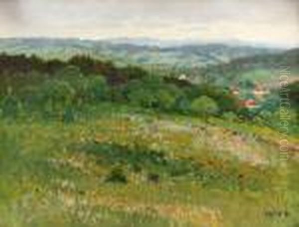 Meadow In Bloom - view 1