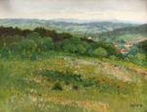 Meadow In Bloom by Stanislav Lolek