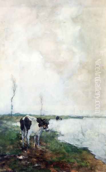 A Cow Standing By The Waterside In A Polder - view 1