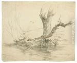Baum An Einem Bach ("im Prater") by Friedrich Loos