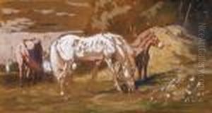 Horses
