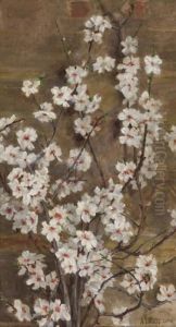 Rami Di Ciliegio In Fiore by August Lovatti