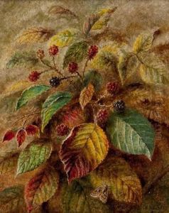 Blackberries