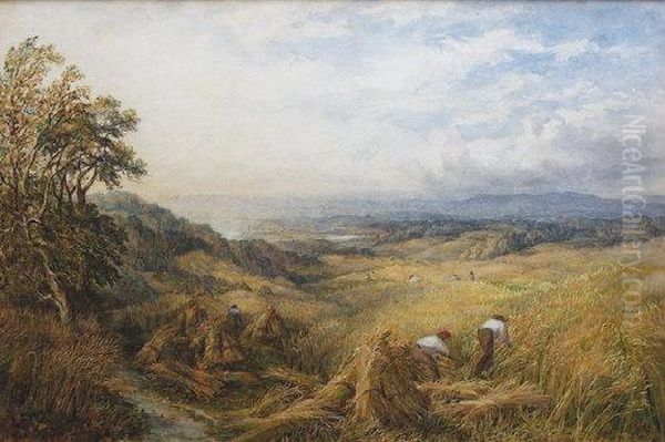 Harvesting Near Box Hill, Surrey - view 1