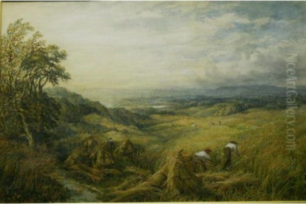 Near Box Hill Surrey - view 1