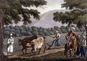 Agriculture in Syria, engraved by Joseph Constantine Stadler (fl.1780-1812) pub. by J. White, 1801 Agriculture in Syria, engraved by Joseph Constantine Stadler (fl.1780-1812) pub. by J. White, 1801