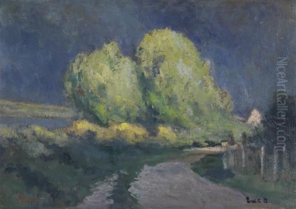 Paysage - view 1