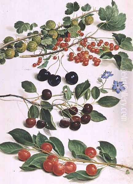 Gooseberries, Cherries and Redcurrants, 1661 - view 1