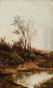 Paisaje Con Arbol Paisaje Con Arbol