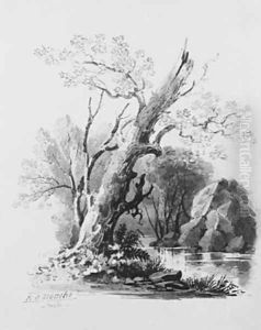 Forest Grove by William Guy Wall