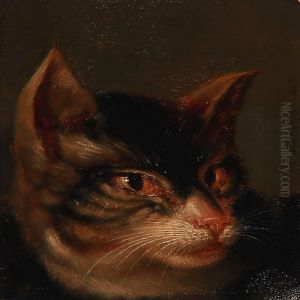 A Cat