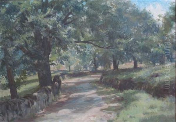 Tree Lined Lane - view 1
