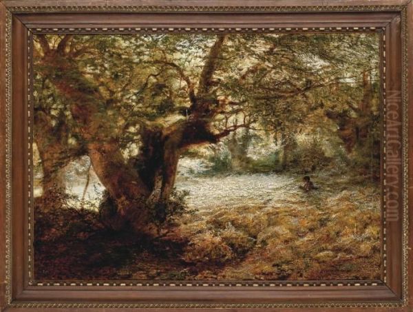 A Stalker In The Sunlit Woods - view 1