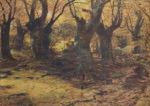 Foresta
