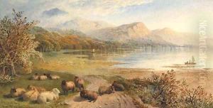 Sheep resting beside a Lake in a mountainous Landscape