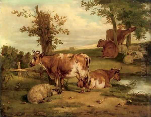 Cattle and sheep resting - view 1