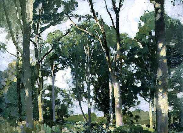 Trees in sunlight - view 1