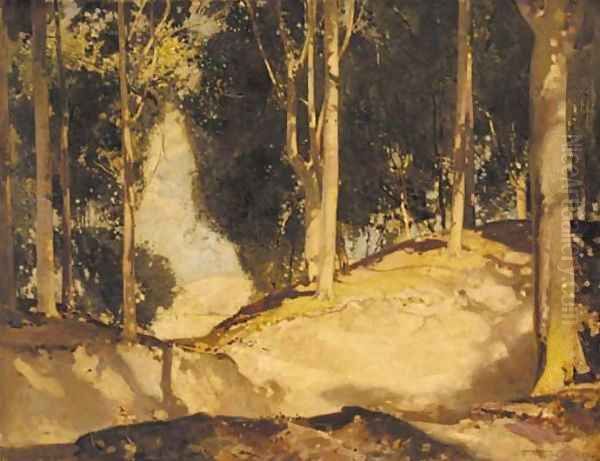 A sunlit woodland glade - view 1