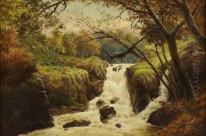 Falls Of Machna, North Wales by William Henry Mander