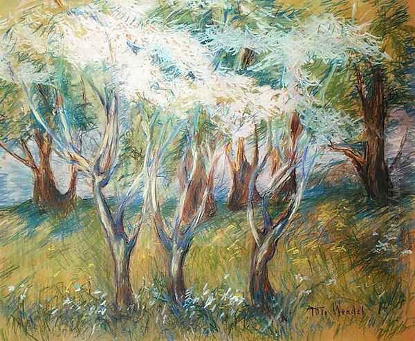 Orchard Giverny - view 1