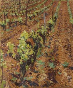 Vignes Dans Le Lot
