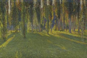 Peupliers Dans La Vallee Du Vert