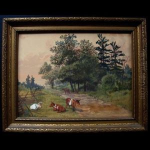 Cattle By Roadway
