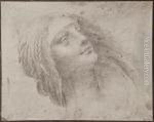 Study For The Virgin And Child With St.anne By Leonardo