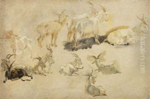 Studies Of Goats by George Hemming Mason