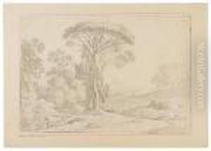 Paesaggio Campestre