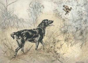 A labrador putting up a snipe A labrador putting up a snipe