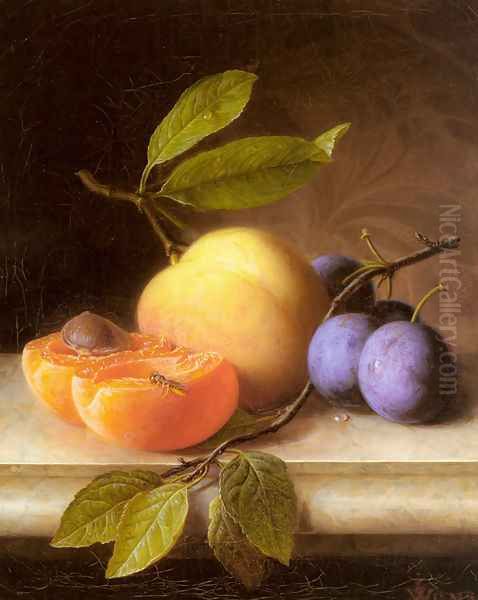 Stilleben Mit Pfirsich Und Pflaumen (Still Life with Peaches and Prunes) - view 1