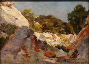 Paysage Provencal