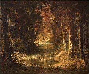 Soleil Sur Le Cours D'eau.