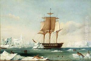 dSS 'Vincennes' by Captain Charles Wilkes