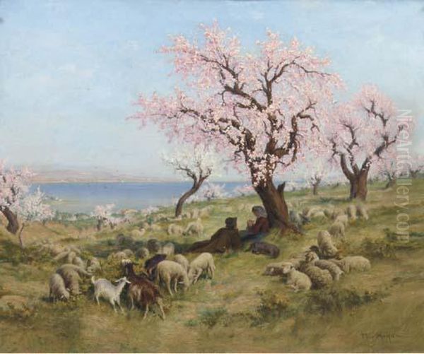Cherry Blossom In The Meadow - view 1