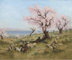 Cherry Blossom In The Meadow