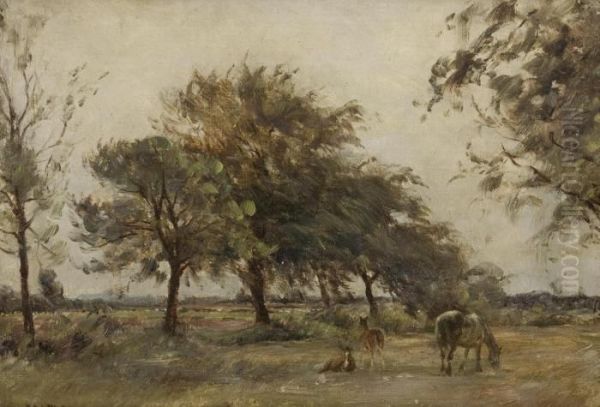 Horses Grazing - view 1