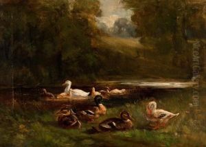 Ducks On The Lakeside by Chris Meadows