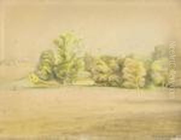 Park - view 1
