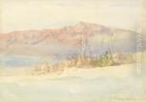 Skalnata Krajina