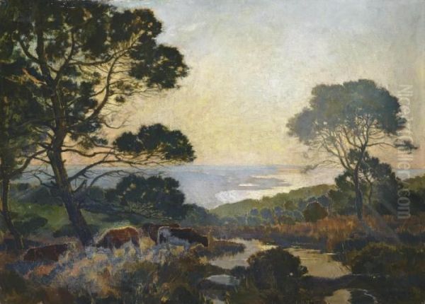 Cattle Grazing Above A Bay At Dusk - view 1