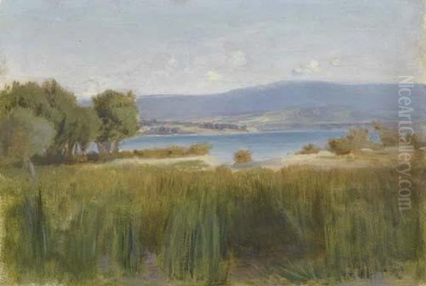 Genferseelandschaft. - view 1